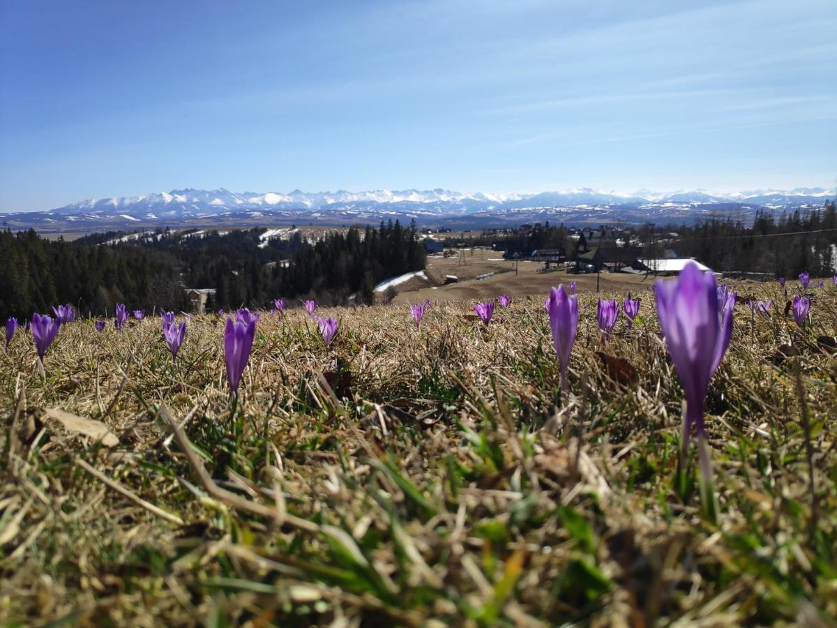 Przystanek Gorce Villa Nowy Targ Exteriör bild