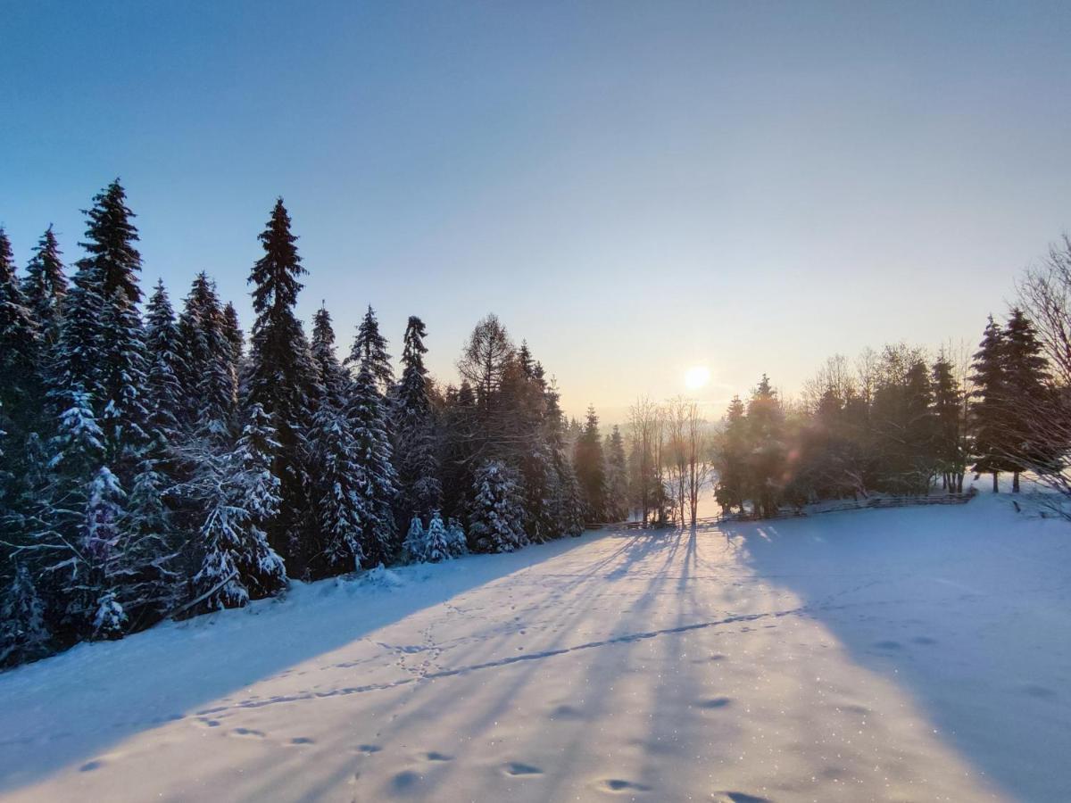 Przystanek Gorce Villa Nowy Targ Exteriör bild