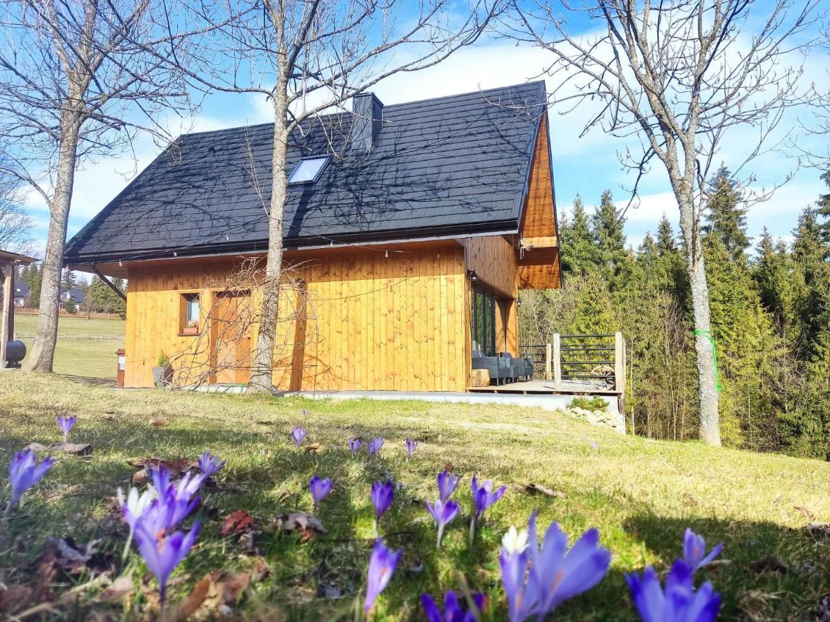 Przystanek Gorce Villa Nowy Targ Exteriör bild