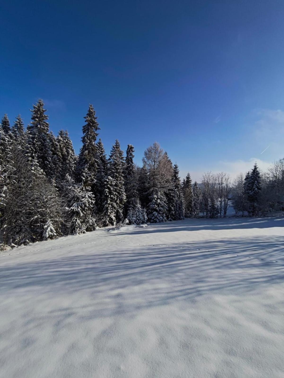 Przystanek Gorce Villa Nowy Targ Exteriör bild